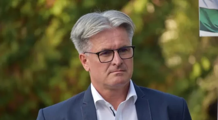 Böröcz István interjú Böröcz István, a Balatonfüredi Yacht Club ügyvezető igazgatója